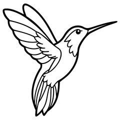 Obraz premium hummingbird line art 