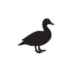 Wild Duck Silhouette – Nature and Hunting Vector