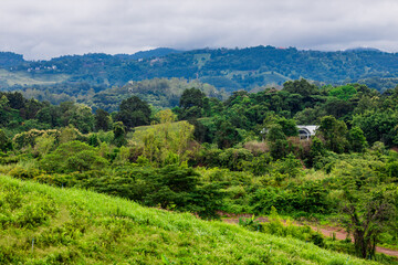Obraz premium Natural background of mountain atmosphere, trees, green lawn for exercise or viewpoint in a large park in the northern area, Chiang Rai, Thailand.