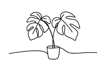 Minimalist single line drawing a monstera plant in a pot vector © Uttam