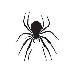 spider on white background