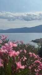 lake and mountains