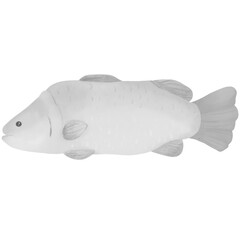 Sea bass illustration on white background for seafood menus