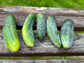 cucumbers on a wooden table