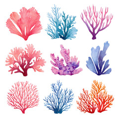 Nine colorful coral illustrations, watercolor style.  Each coral displays varied shades of pink, purple, blue, and orange, arranged in a 3x3 grid. 