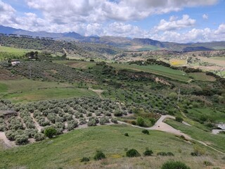 Nature view around Ronda, Spain