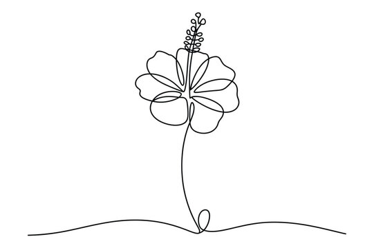 One Line Drawing of Hibiscus Flower, Minimal Botanical Vector Illustration