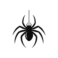 black spider isolated on white