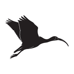 Strong Ibis Silhouette – Ibis Black Vector Image for Digital and Print Media – Ibis Illustration – Bird Silhouette – Silhouette of Ibis

