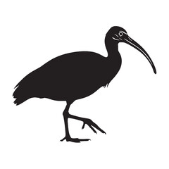 Refined Ibis Silhouette – Ibis Black Vector Graphic for Artistic and Commercial Work – Bird Silhouette – Black Vector of Ibis


