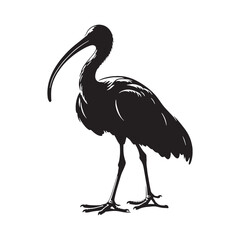 Distinctive Ibis Silhouette – Ibis Black Vector Graphic for Professional Use – Ibis Illustration – Bird Silhouette – Silhouette of Ibis

