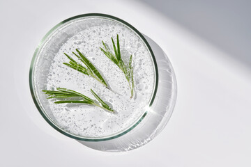 Three sprigs of rosemary in antioxidant serum in a petri dish.