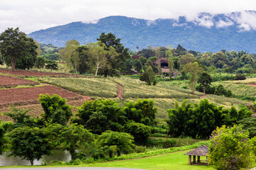 Fototapeta premium Idyllic landscape with winding river, rolling hills, and mist drifting through pine forests. Wind-swept trees along a mountain river under dramatic sky with moving clouds.