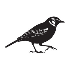 Fototapeta premium Sleek Lark Silhouette – Lark Vector Outline for Modern and Traditional Designs – black vector of Lark