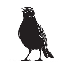 Minimalist Lark Silhouette – Lark Vector Graphic for Design and Print – black vector of Lark

