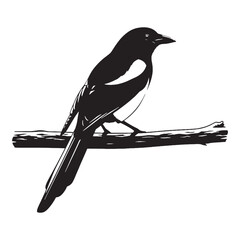 Solid Magpie Silhouette – Magpie Vector Form for Artistic Use – Black Vector of Magpie

