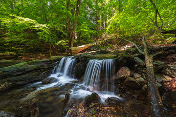 waterfalls of the Jeseníky mountains, waterfall, water, stream, forest, nature, river, cascade,...