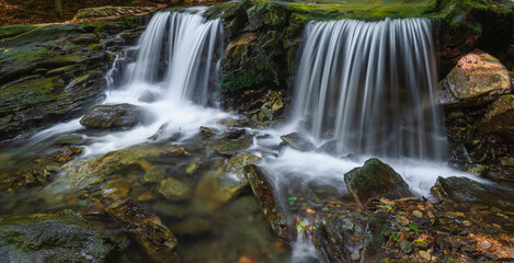Obraz premium Birds in South Moravia, water, white