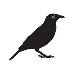 Elegant Profile Mynah Silhouette – Mynah Vector Illustration for Versatile Use – Mynah Illustration – Bird Silhouette – Silhouette of Mynah

