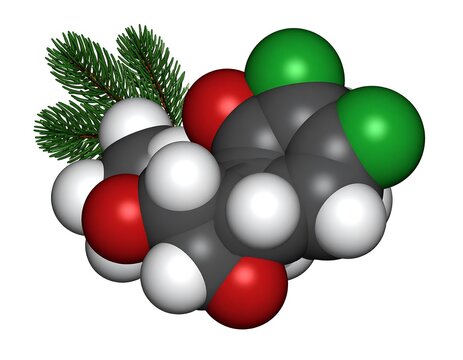 3D chemical structure with evergreen sprigs