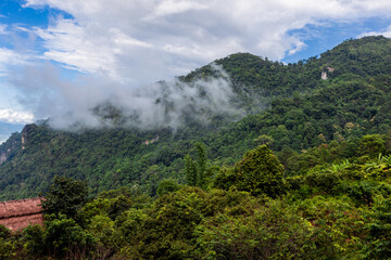 Idyllic landscape with winding river, rolling hills, and mist drifting through pine forests.
Wind-swept trees along a mountain river under dramatic sky with moving clouds.