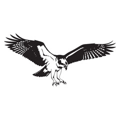 Minimalist Osprey Silhouette – Osprey Vector Graphic emphasizing its long wingspan – black vector of Osprey

