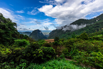 Naklejka premium Idyllic landscape with winding river, rolling hills, and mist drifting through pine forests. Wind-swept trees along a mountain river under dramatic sky with moving clouds.