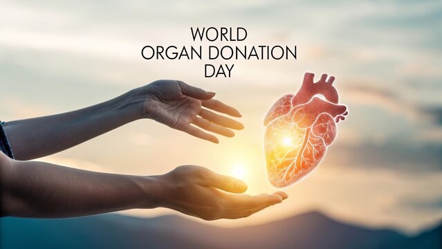 World Organ Donation Day, Illustration of hands holding symbolic glowing heart for organ donation.