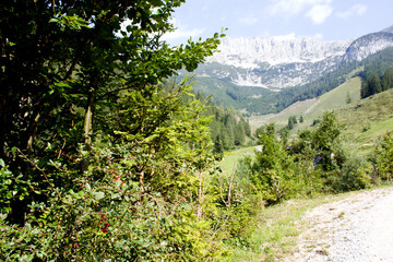 Fototapeta premium Mountain landscape with lush vegetation and rocky peaks in bright daylight setting creates serene outdoor atmosphere
