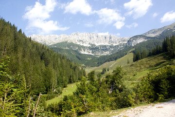 Obraz premium Scenic mountain landscape with lush green valleys and rocky peaks in bright daylight near a hiking path in summer