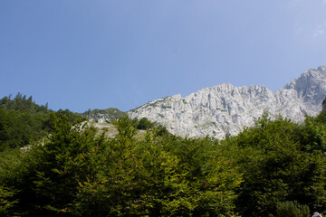 Fototapeta premium Spectacular mountain view with lush greenery and clear blue sky captured in the afternoon light
