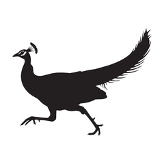 Elegant Peacock Silhouette – Peacock Vector Artwork in Bold Monochrome for Design Use – Silhouette of Peacock

