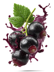 blackcurrant in juice splash