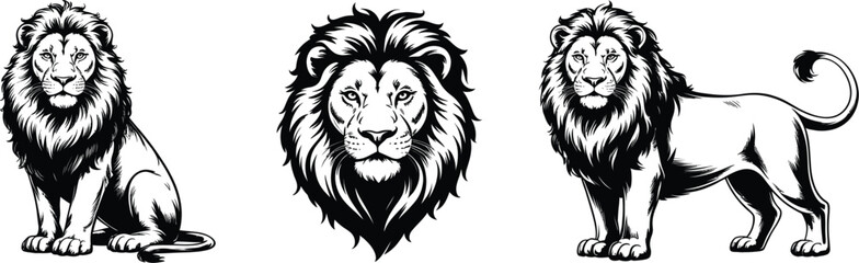 Fototapeta premium Majestic lion mascot and emblem set in sitting, standing, and head portrait poses. Vector illustration for logo or tattoo.