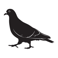 Obraz premium Strong Pigeon Silhouette – Pigeon Vector Illustration with Bold Outline – Bird Silhouette – Silhouette of Pigeon