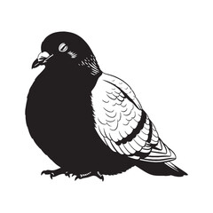 Clean Pigeon Silhouette – Pigeon Vector Artwork for Minimalist Design – Black Vector of Pigeon

