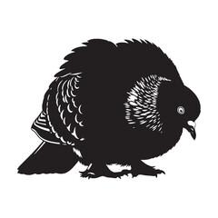 Detailed Pigeon Silhouette – Pigeon Vector Illustration for Quality Print – Bird Silhouette – Silhouette of Pigeon

