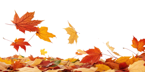 Vibrant autumn leaves falling gracefully on a white background capturing the essence of the season