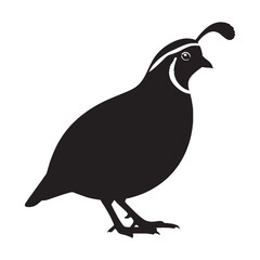 Bold Quail Silhouette – Quail Vector Artwork for Impactful Print and Digital Media – Black Vector of Quail

