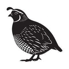 Refined Quail Silhouette – Quail Vector Graphic for Timeless Artistic Creations – Black Vector of Quail

