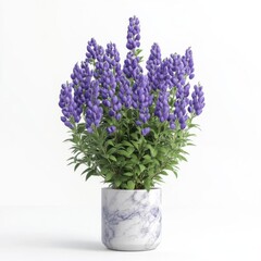 Vibrant purple flowers in a marble pot