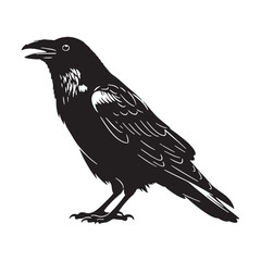 Majestic Raven Silhouette – Raven Vector Artwork for Timeless Design – Black Vector of Raven

