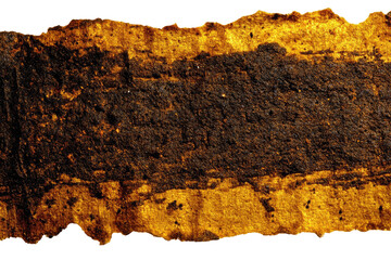 Damaged,  brown-gold  scroll  or  artifact.  Detailed  texture