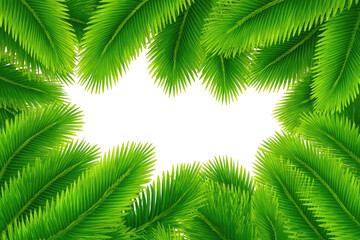 Tropical palm leaves frame a black center