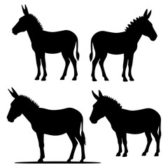 Vector Donkeys illustration