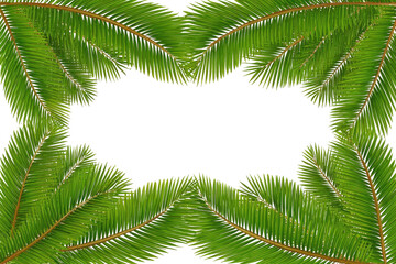 Palm fronds frame a dark center