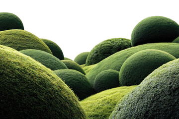 Lush green sculpted hills of topiary