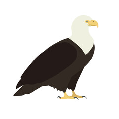 Vector flat hand drawn eagle isolated on white background