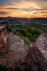 Sonnenuntergang in der Pfalz  © ALEXANDER