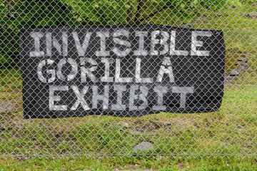 A sign behind a chain link fence that says INVISIBLE GORILLA EXHIBIT. No gorillas are visible.